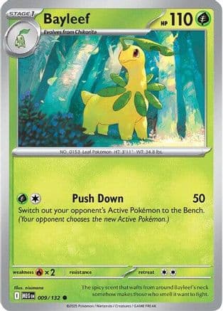 Bayleef — ME01: Mega Evolution Pokémon TCG card by Tomomi Ozaki