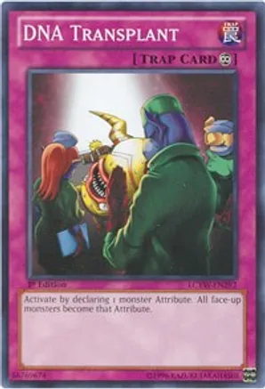 DNA Transplant — Legendary Collection 3: Yugi's World