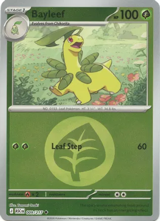 Bayleef (Energy Symbol Pattern) — ME: Ascended Heroes