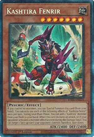 Kashtira Fenrir (Collector's Rare) — Rarity Collection 5