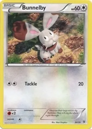 Bunnelby — Kalos Starter Set