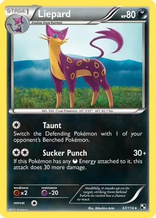 Liepard — Black and White