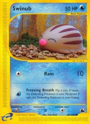 Swinub (107) — Skyridge