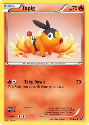 Tepig (16) — Black and White Pokémon TCG card by Shin Graphics