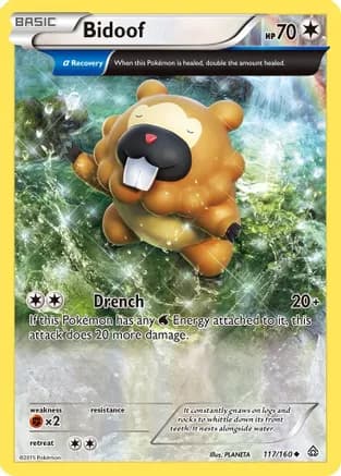 Bidoof (Alpha) — XY - Primal Clash