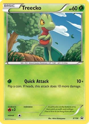 Treecko - XY36 — XY Promos Pokémon TCG card by Akira Komayama