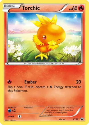 Torchic - XY37 — XY Promos