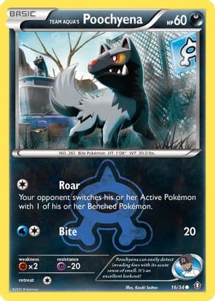 Team Aqua's Poochyena — Double Crisis Pokémon TCG card by Kouki Saitou