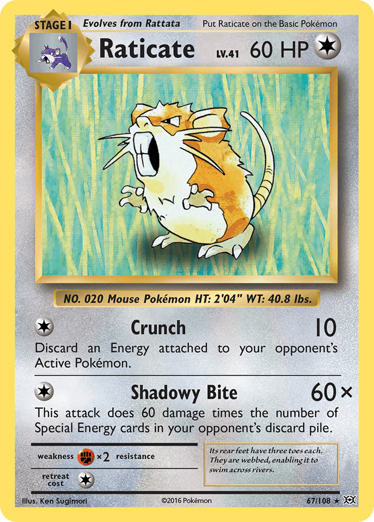 Raticate — XY - Evolutions