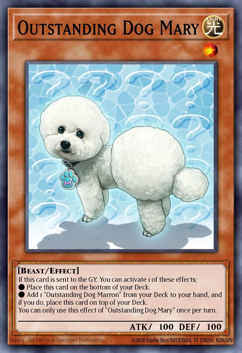 Outstanding Dog Mary — Burst of Destiny