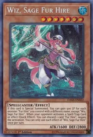 Wiz, Sage Fur Hire — Dark Saviors