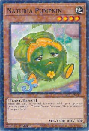 Naturia Pumpkin (Duel Terminal) — Hidden Arsenal: Chapter 1