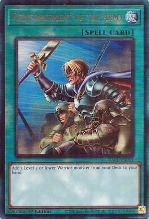 Reinforcement of the Army (PUR) — 25th Anniversary Rarity Collection