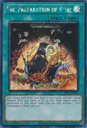 Pre-Preparation of Rites (Platinum Secret Rare) — 25th Anniversary Rarity Collection