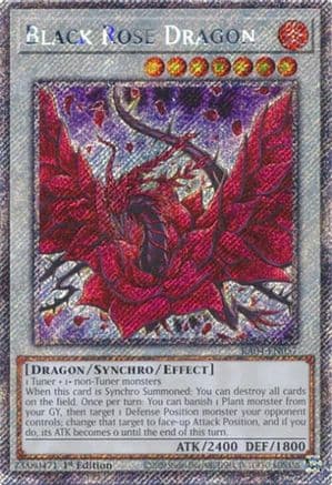Black Rose Dragon (Platinum Secret Rare) — Quarter Century Stampede