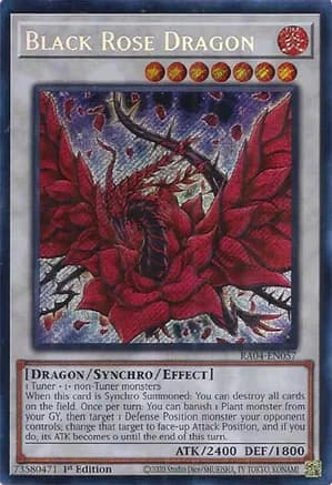 Black Rose Dragon (Secret Rare) — Quarter Century Stampede