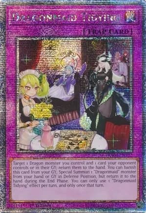 Dragonmaid Tidying (Quarter Century Secret Rare) — Quarter Century Stampede