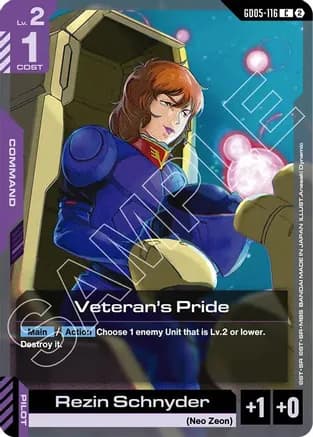 Veteran's Pride — Freedom Ascension