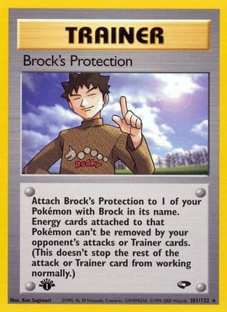 Brock's Protection — Gym Challenge