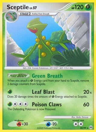 Sceptile (30) — Arceus