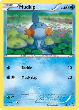 Mudkip - XY38 — XY Promos